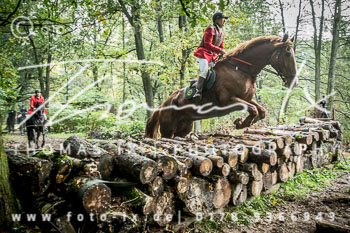 33 - Cross Country Jesteburg 33 - Cross Country Jesteburg