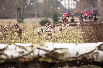 06 - Jagd Verden 06 - Jagd Verden