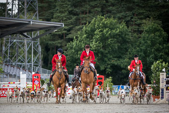 08 - Show Luhmuehlen 08 - Show Luhmuehlen
