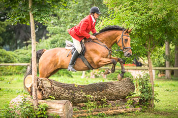 10 - Jagd Rohlfshagen 10 - Jagd Rohlfshagen