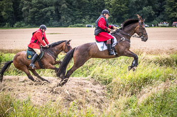 12 - Jagd Steinhorst 12 - Jagd Steinhorst