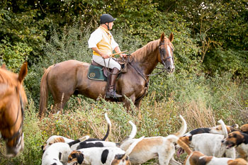14 - Jagd Kleefeld 14 - Jagd Kleefeld