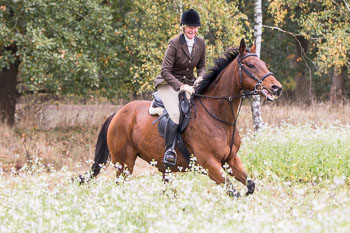 21 - Jagd Grabow 21 - Jagd Grabow