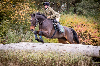 23 - Jagd Isernhagen 23 - Jagd Isernhagen