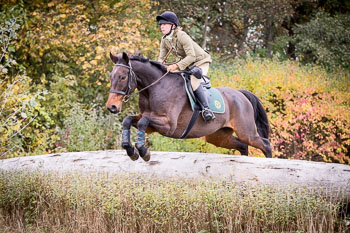 23 - Jagd Isernhagen 23 - Jagd Isernhagen