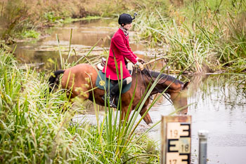 23 - Jagd Isernhagen 23 - Jagd Isernhagen