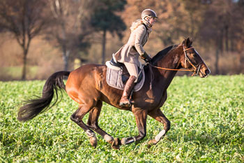 26 - Jagd Ehlbeck 26 - Jagd Ehlbeck