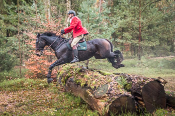 26 - Jagd Ehlbeck 26 - Jagd Ehlbeck