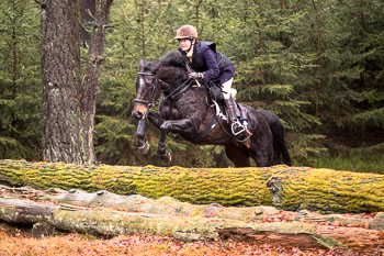 31 - Jagd Ehlbeck 31 - Jagd Ehlbeck