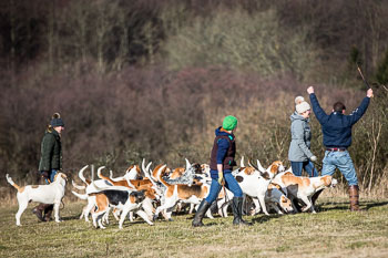 33 - Walking the Hounds 33 - Walking the Hounds