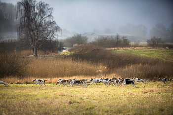 36 - Meutearbeit Møn 36 - Meutearbeit Møn