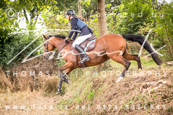 14 - Jagd Basthorst 14 - Jagd Basthorst