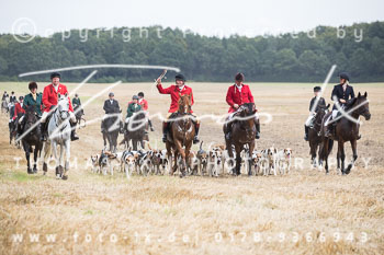 14 - Jagd Basthorst 14 - Jagd Basthorst