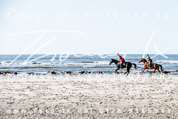 16 Jagd Norderney 16 Jagd Norderney