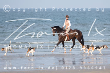 17 - Hundearbeit Norderney 17 - Hundearbeit Norderney