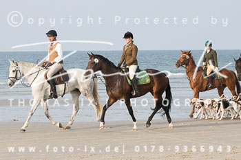 17 - Hundearbeit Norderney 17 - Hundearbeit Norderney