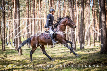 06 - Jagd Seedorf 06 - Jagd Seedorf