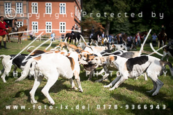16 - Rittergut Schnellenberg 16 - Rittergut Schnellenberg