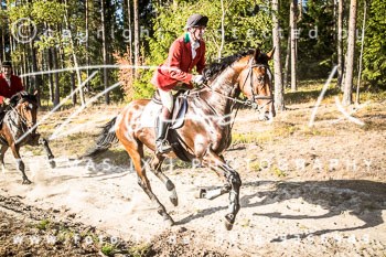 21 - Sko-Jagd Rehrhof 21 - Sko-Jagd Rehrhof