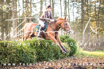 37 - Jagd Harsefeld 37 - Jagd Harsefeld
