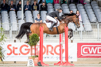 CCI1 Springen CCI1 Springen