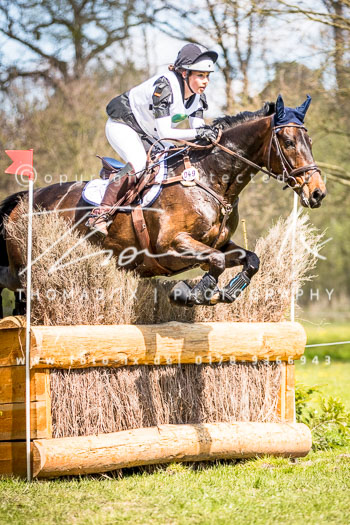07 - CIC1* Luhmühlen 07 - CIC1* Luhmühlen