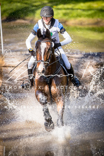 07 - CIC1* Luhmühlen 07 - CIC1* Luhmühlen