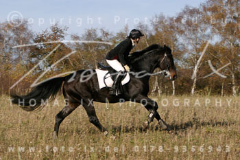 01 - Schleppjagd Wiulfsen