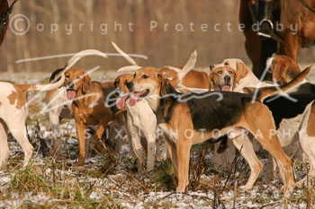 02 - Boxing Day Ollsen