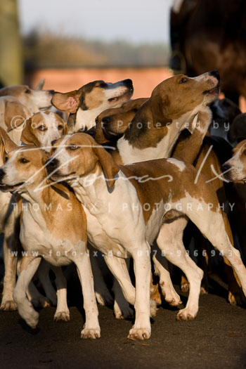 02 - Boxing Day Ollsen