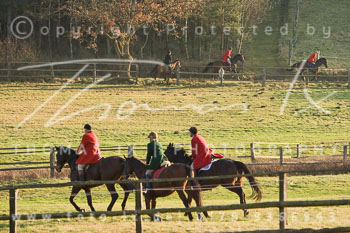 02 - Boxing Day Ollsen