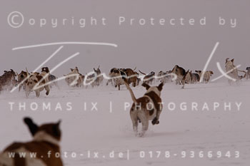 03 - Triple Meet Ollsen