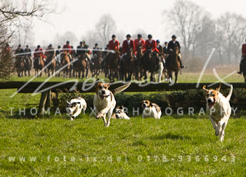 02 - Triple Meet Verden