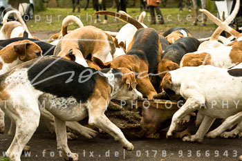 05 - Boxing Day Ollsen