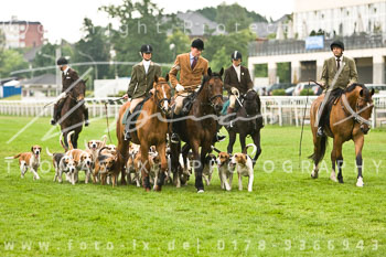 01 - Meutearbeit Horn