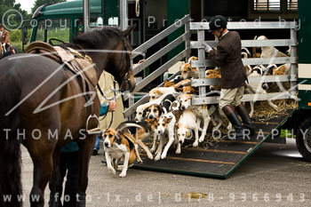 01 - Meutearbeit Horn