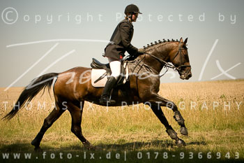 02 - Jagd Steinhorst