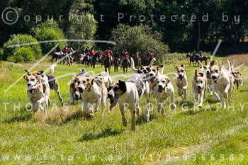 02 - Jagd Steinhorst