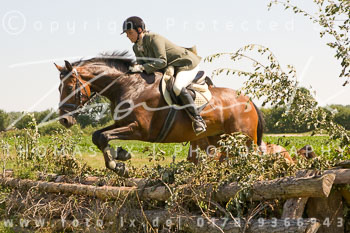 02 - Jagd Steinhorst
