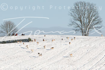 06 - Herbstjagd Sudermühlen