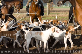 07 - Meutearbeit Ehlbeck
