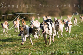 07 - Meutearbeit Ehlbeck