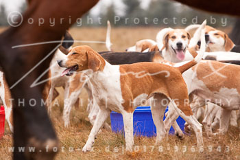 01 - Meutearbeit Wulfsen