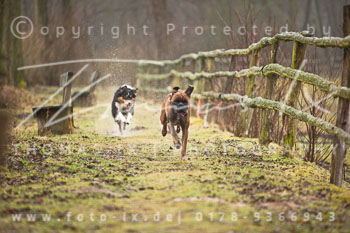 03 - Meutearbeit Sudermühlen