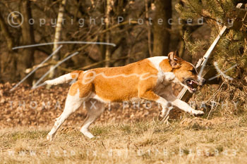05 Triple Meet Sudermühlen