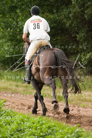 06 - Point to Point Gut Schnede 06 - Point to Point Gut Schnede