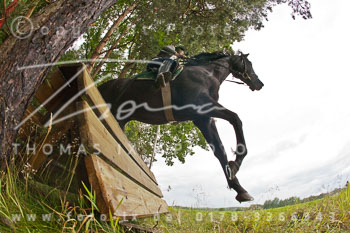 06 - Point to Point Gut Schnede 06 - Point to Point Gut Schnede