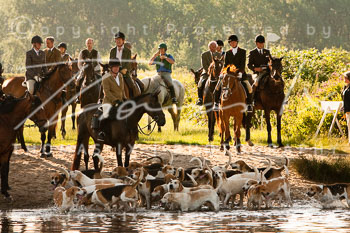 07 - Meutearbeit Horn