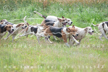 08 - Jagd Steinhorst