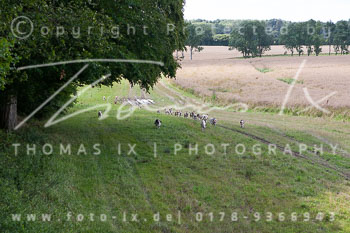 08 - Jagd Steinhorst